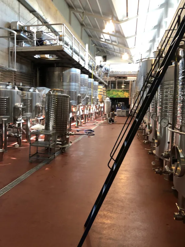 5_Bodega Castell d'Encus