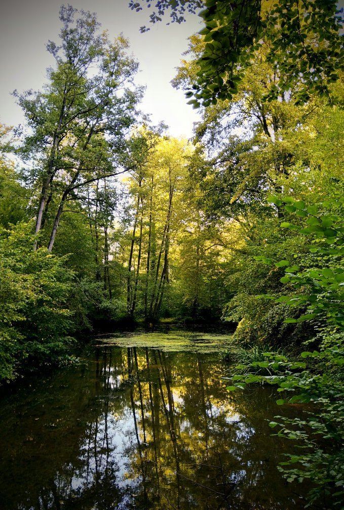 Verviers