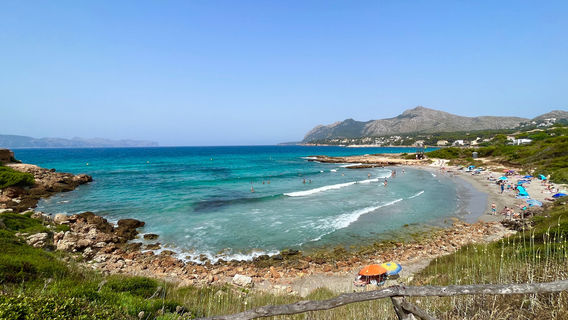 Alcudia