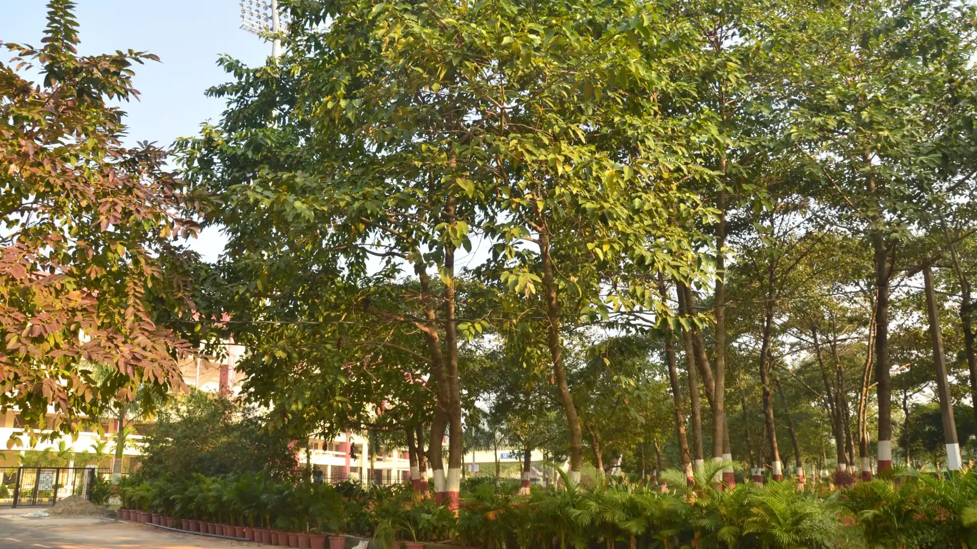 Hotels near Kalinga Stadium