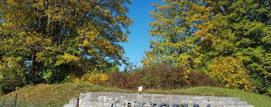 Kastell Abusina am Limes