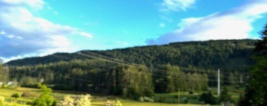 Salt Spring Wild Cider House