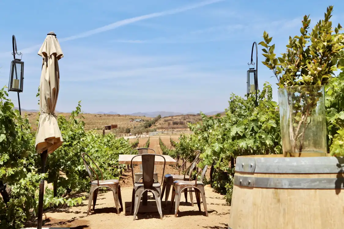 Hotels near Rondo del Valle