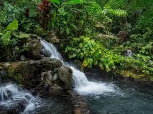 Hidden Valley Springs