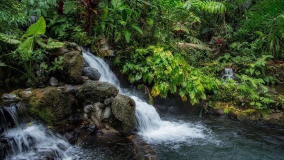 Hidden Valley Springs