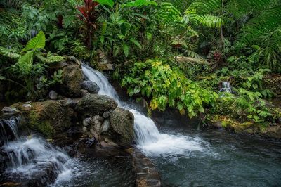 Hidden Valley Springs