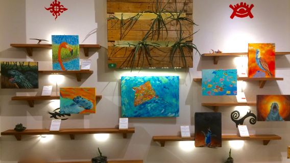 Galería Exótico Ecuador - Fair Trade