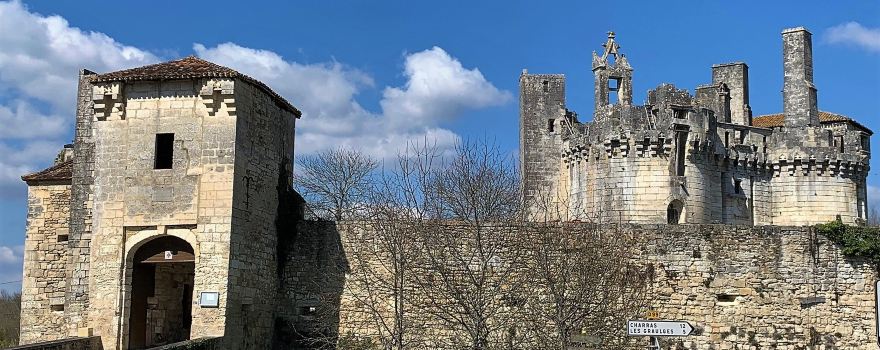 Castle de Mareuil