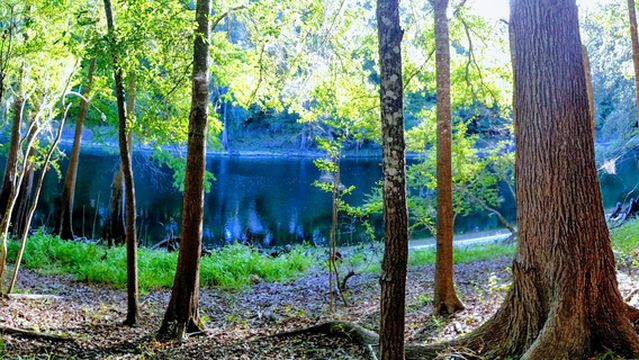 Gilchrist County Santa Fe River Park