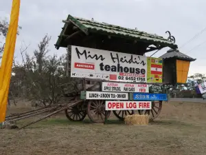 Mount Gladstone Lookout