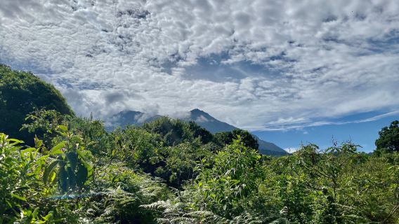Kilimanjaro Wonders Expedition Safari