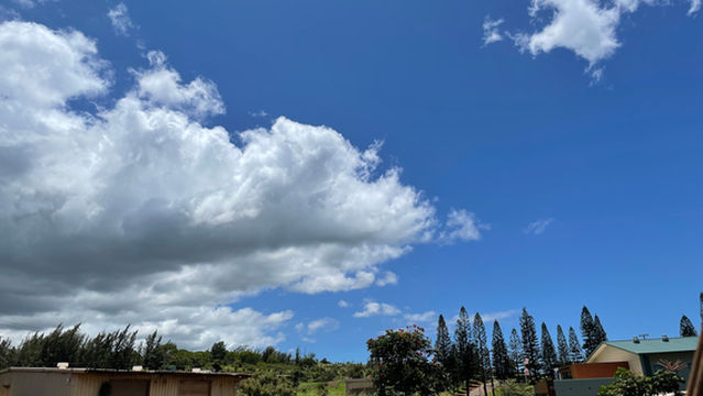 Maui Off-Road Adventures