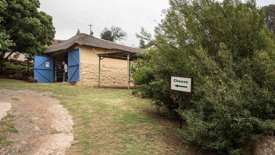 Marrakesh Cheese Farm