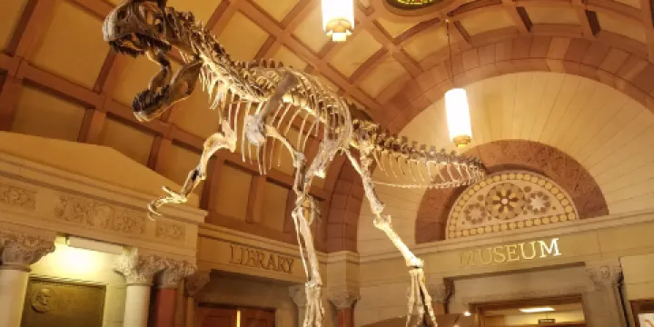 Orton Geological Museum