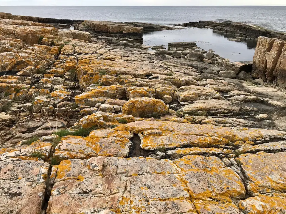 2_Varhallen-Tobisvik