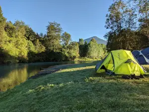 Camping Bosque Nativo