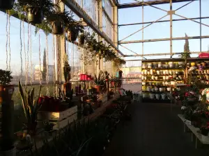 Jardiland