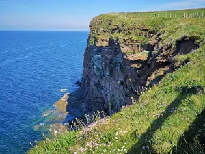 RSPB St Bees Head