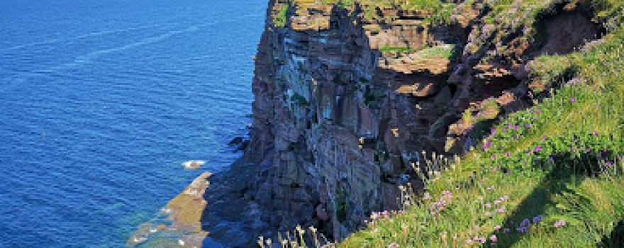 RSPB St Bees Head