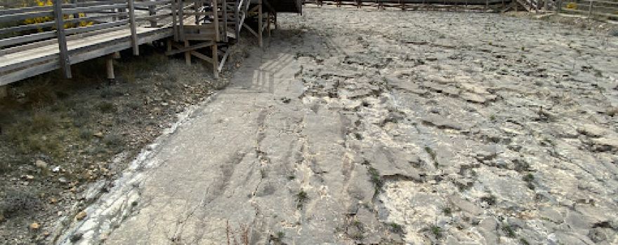 Igea Park