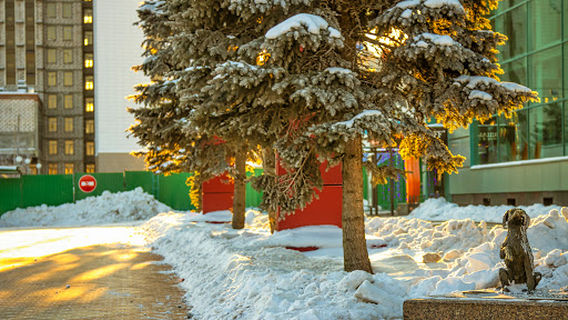 Pamyatnik Bezdomnoy Sobake