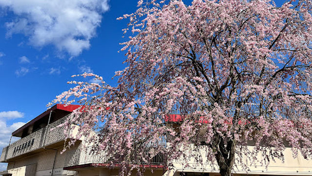 Omotegotenguyama Baseball Field