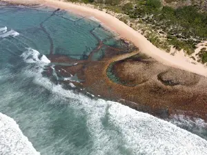 Skulpiesbaai Nature Reserve