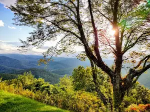 Black Mountains Overlook
