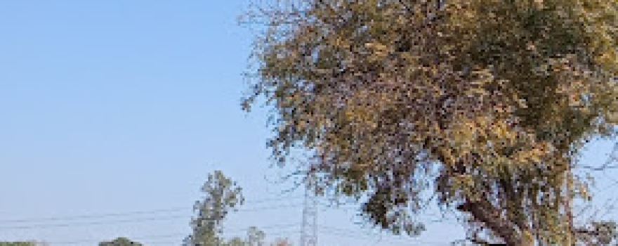 Itayen Shiv Temple इटाये शिव मंदिर