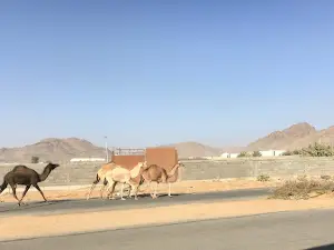 Chandrapara Pak Darbar Sharif