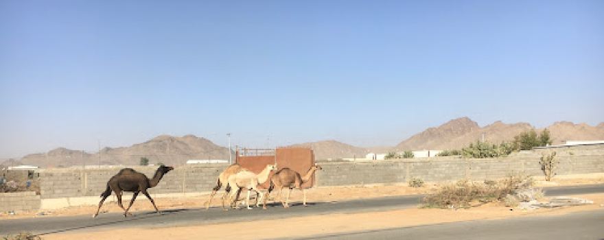 Chandrapara Pak Darbar Sharif