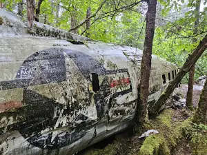 DC-3 Crash Wreckage 1957