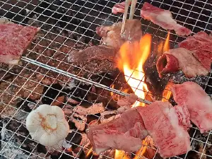 Soyumura 229 Ski Land