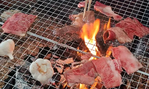 Soyumura 229 Ski Land