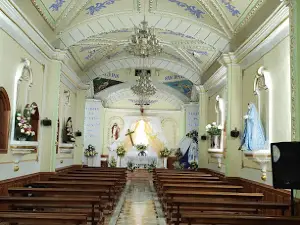 San Carlos Borromeo Town