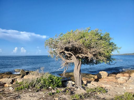 Playa Tamarindo