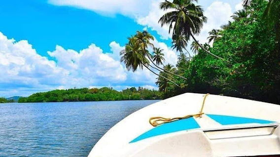 Madol Duwa Boat Safari by Dilshan මඩොල් දූව බෝට්ටු සවාරි