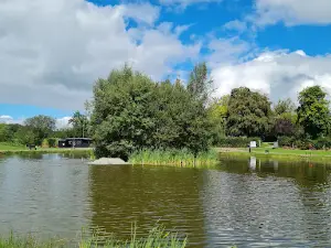 Glenkeen Trout Fishery