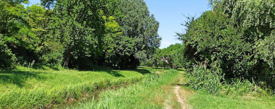 Parco Nuove Gemme