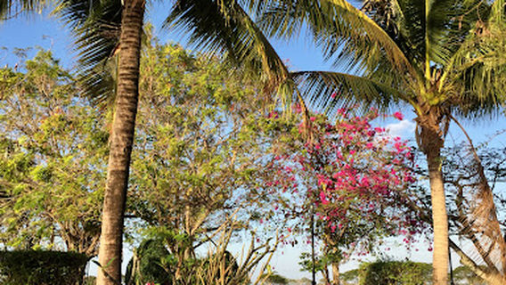 Somdej Phra Srinagarindra Park