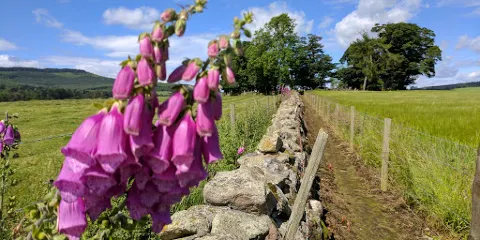 Sunhoney Stone Circle
