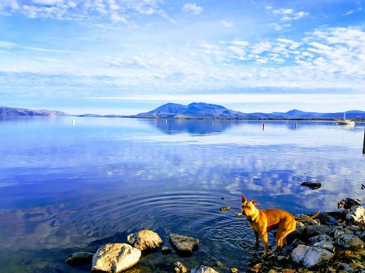 Lakeport Yacht Club