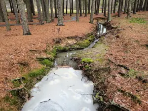 Парк Биско
