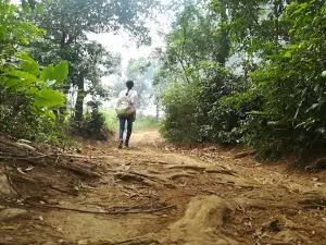 Cây đỏ Bà Mười