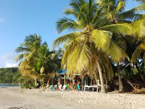 Southwest Bay
