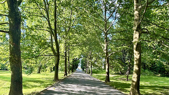 Reservoir Park
