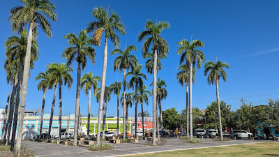 Flores Park