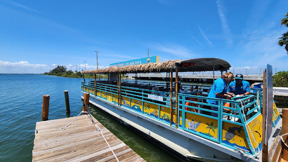 Cocoa Beach Dolphin Tours