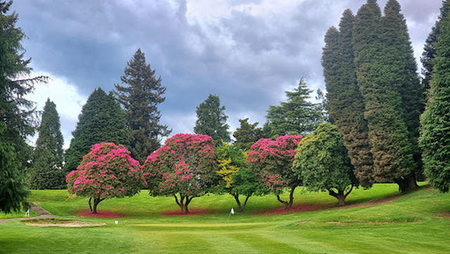 Springfield Golf Club