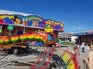 Bodø Spektrum
